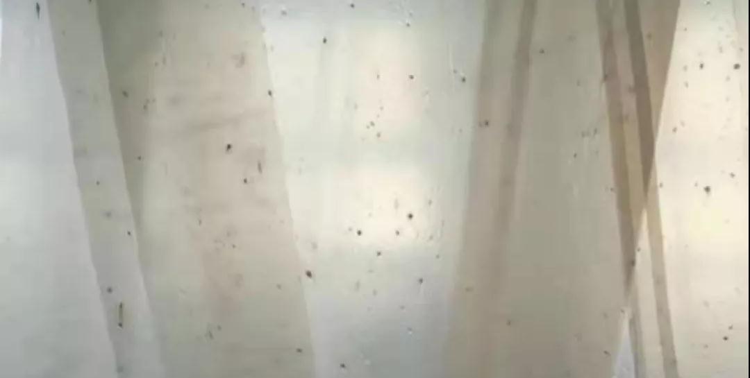 PBAT膜袋有黑點是什么原因？(圖1)