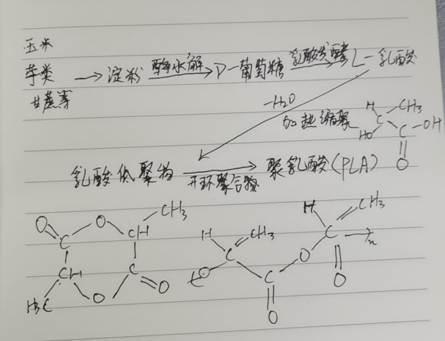 生物降解袋中的PLA是如何制得的？(圖2)